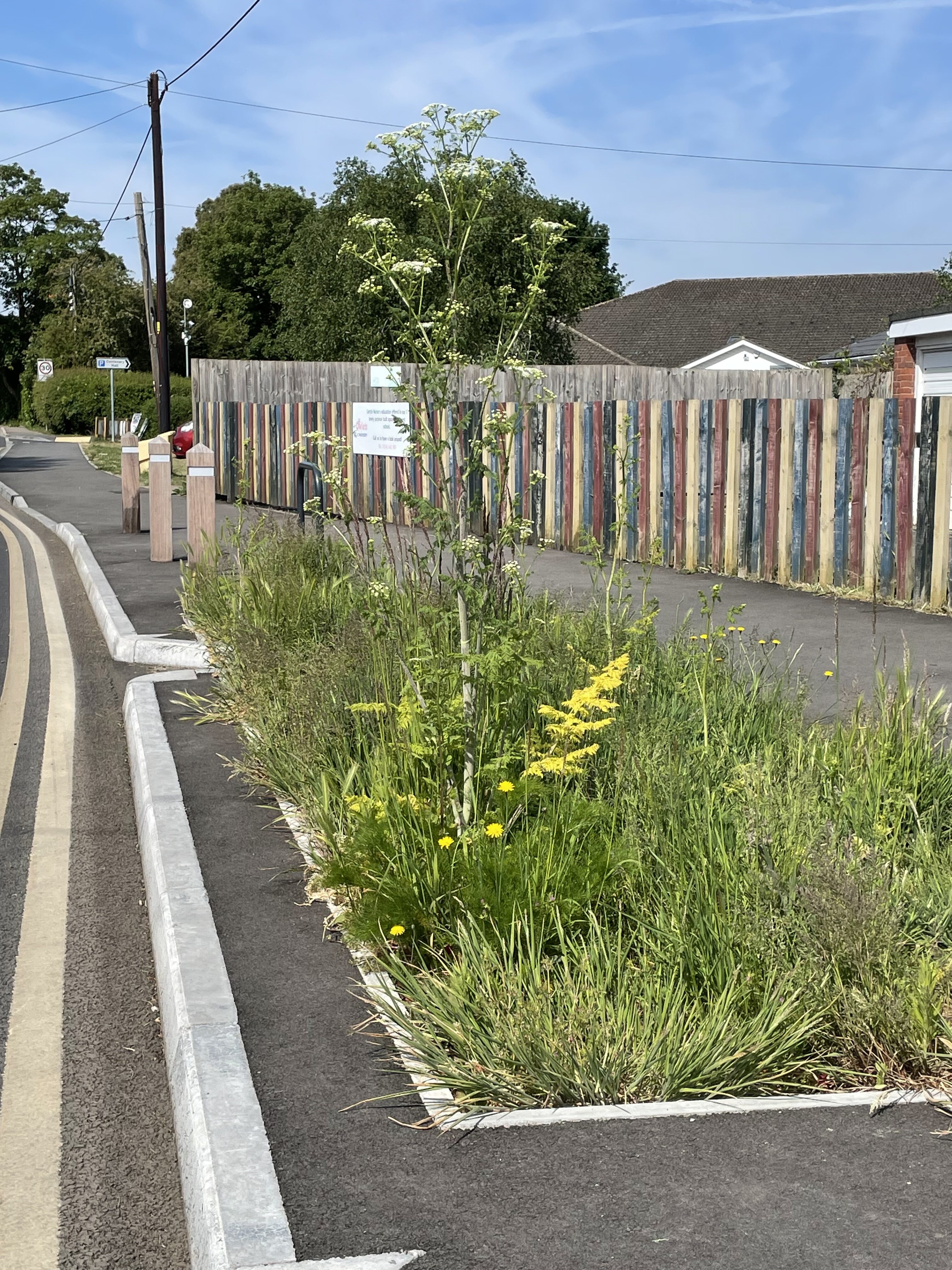 Wheelers Lane Gardening
